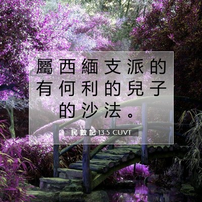 Picture 07 - 民 數 記 13:5 CUVT - 屬 西 緬 支 派 的 有 何 利 的 兒 子 - Bible Verse Picture