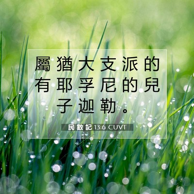 Picture 07 - 民 數 記 13:6 CUVT - 屬 猶 大 支 派 的 有 耶 孚 尼 的 兒 - Bible Verse Picture