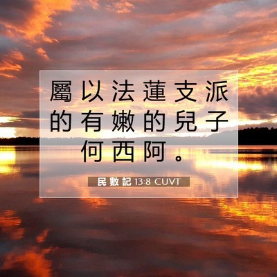 Picture 07 - 民 數 記 13:8 CUVT - 屬 以 法 蓮 支 派 的 有 嫩 的 兒 子 - Bible Verse Picture