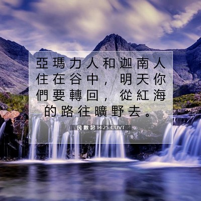 Picture 07 - 民 數 記 14:25 CUVT - 亞 瑪 力 人 和 迦 南 人 住 在 谷 中 - Bible Verse Picture