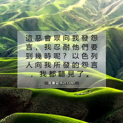 Picture 07 - 民 數 記 14:27 CUVT - 這 惡 會 眾 向 我 發 怨 言 ， 我 忍 - Bible Verse Picture