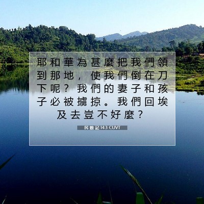 Picture 07 - 民 數 記 14:3 CUVT - 耶 和 華 為 甚 麼 把 我 們 領 到 那 - Bible Verse Picture