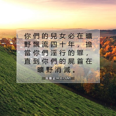 Picture 07 - 民 數 記 14:33 CUVT - 你 們 的 兒 女 必 在 曠 野 飄 流 四 - Bible Verse Picture