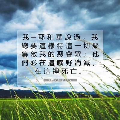 Picture 07 - 民 數 記 14:35 CUVT - 我 ─ 耶 和 華 說 過 ， 我 總 要 這 - Bible Verse Picture