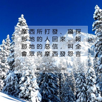 Picture 07 - 民 數 記 14:36 CUVT - 摩 西 所 打 發 、 窺 探 那 地 的 人 - Bible Verse Picture