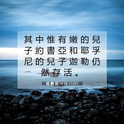 Picture 07 - 民 數 記 14:38 CUVT - 其 中 惟 有 嫩 的 兒 子 約 書 亞 和 - Bible Verse Picture