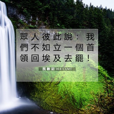 Picture 07 - 民 數 記 14:4 CUVT - 眾 人 彼 此 說 ： 我 們 不 如 立 一 - Bible Verse Picture
