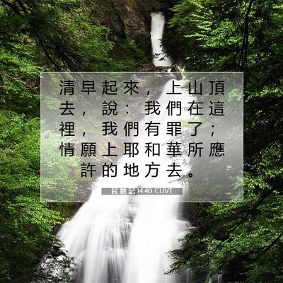 Picture 07 - 民 數 記 14:40 CUVT - 清 早 起 來 ， 上 山 頂 去 ， 說 ： - Bible Verse Picture