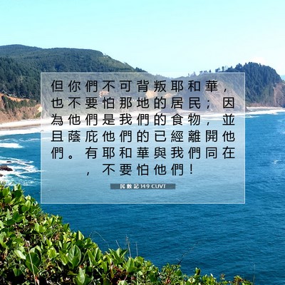 Picture 07 - 民 數 記 14:9 CUVT - 但 你 們 不 可 背 叛 耶 和 華 ， 也 - Bible Verse Picture
