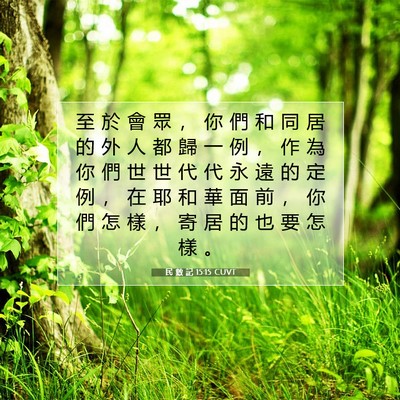 Picture 07 - 民 數 記 15:15 CUVT - 至 於 會 眾 ， 你 們 和 同 居 的 外 - Bible Verse Picture