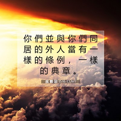Picture 07 - 民 數 記 15:16 CUVT - 你 們 並 與 你 們 同 居 的 外 人 當 - Bible Verse Picture