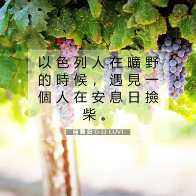 Picture 07 - 民 數 記 15:32 CUVT - 以 色 列 人 在 曠 野 的 時 候 ， 遇 - Bible Verse Picture