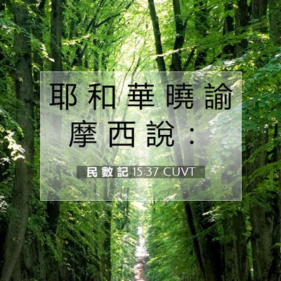 Picture 07 - 民 數 記 15:37 CUVT - 耶 和 華 曉 諭 摩 西 說 - Bible Verse Picture