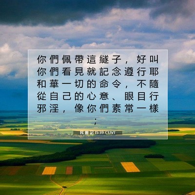 Picture 07 - 民 數 記 15:39 CUVT - 你 們 佩 帶 這 繸 子 ， 好 叫 你 們 - Bible Verse Picture