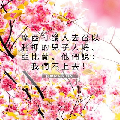 Picture 07 - 民 數 記 16:12 CUVT - 摩 西 打 發 人 去 召 以 利 押 的 兒 - Bible Verse Picture