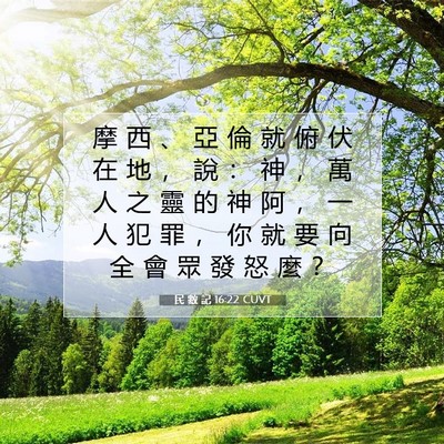 Picture 07 - 民 數 記 16:22 CUVT - 摩 西 、 亞 倫 就 俯 伏 在 地 ， 說 - Bible Verse Picture