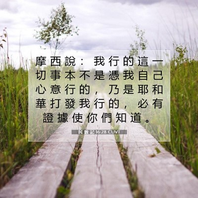 Picture 07 - 民 數 記 16:28 CUVT - 摩 西 說 ： 我 行 的 這 一 切 事 本 - Bible Verse Picture
