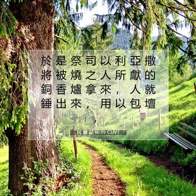 Picture 07 - 民 數 記 16:39 CUVT - 於 是 祭 司 以 利 亞 撒 將 被 燒 之 - Bible Verse Picture