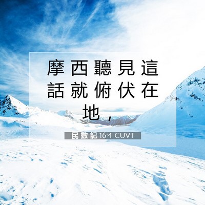 Picture 07 - 民 數 記 16:4 CUVT - 摩 西 聽 見 這 話 就 俯 伏 在 地 - Bible Verse Picture