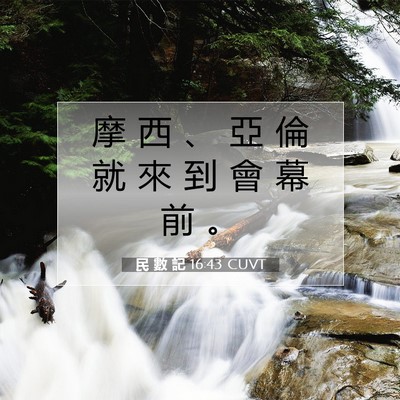 Picture 07 - 民 數 記 16:43 CUVT - 摩 西 、 亞 倫 就 來 到 會 幕 前 - Bible Verse Picture
