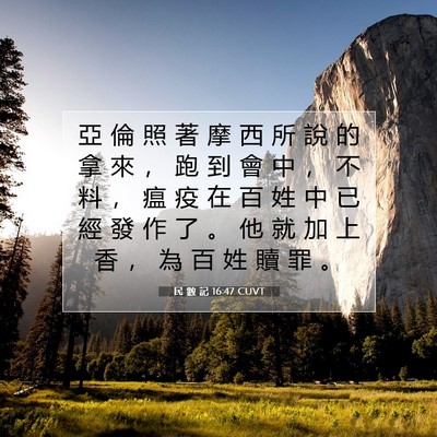 Picture 07 - 民 數 記 16:47 CUVT - 亞 倫 照 著 摩 西 所 說 的 拿 來 ， - Bible Verse Picture