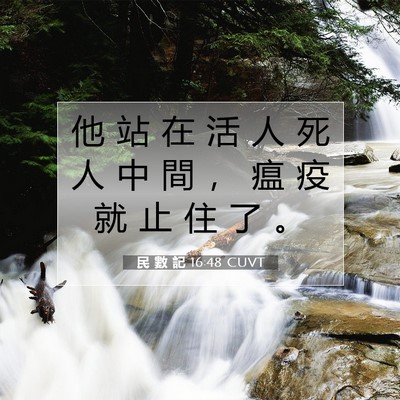 Picture 07 - 民 數 記 16:48 CUVT - 他 站 在 活 人 死 人 中 間 ， 瘟 疫 - Bible Verse Picture