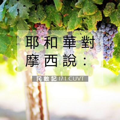 Picture 07 - 民 數 記 17:1 CUVT - 耶 和 華 對 摩 西 說 - Bible Verse Picture
