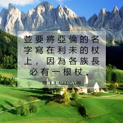 Picture 07 - 民 數 記 17:3 CUVT - 並 要 將 亞 倫 的 名 字 寫 在 利 未 - Bible Verse Picture