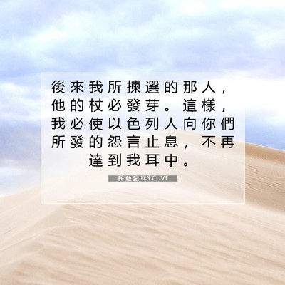 Picture 07 - 民 數 記 17:5 CUVT - 後 來 我 所 揀 選 的 那 人 ， 他 的 - Bible Verse Picture