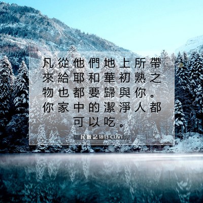 Picture 07 - 民 數 記 18:13 CUVT - 凡 從 他 們 地 上 所 帶 來 給 耶 和 - Bible Verse Picture