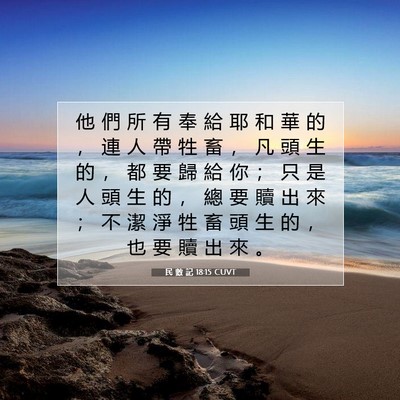 Picture 07 - 民 數 記 18:15 CUVT - 他 們 所 有 奉 給 耶 和 華 的 ， 連 - Bible Verse Picture