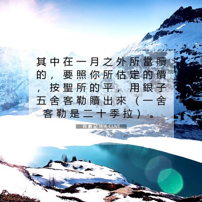 Picture 07 - 民 數 記 18:16 CUVT - 其 中 在 一 月 之 外 所 當 贖 的 ， - Bible Verse Picture