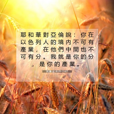Picture 07 - 民 數 記 18:20 CUVT - 耶 和 華 對 亞 倫 說 ： 你 在 以 色 - Bible Verse Picture