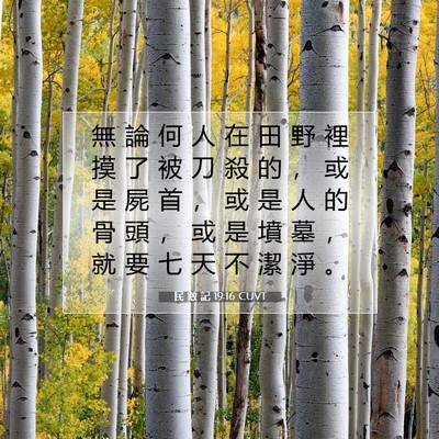 Picture 07 - 民 數 記 19:16 CUVT - 無 論 何 人 在 田 野 裡 摸 了 被 刀 - Bible Verse Picture