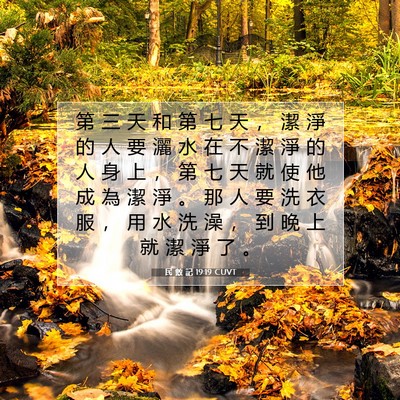 Picture 07 - 民 數 記 19:19 CUVT - 第 三 天 和 第 七 天 ， 潔 淨 的 人 - Bible Verse Picture