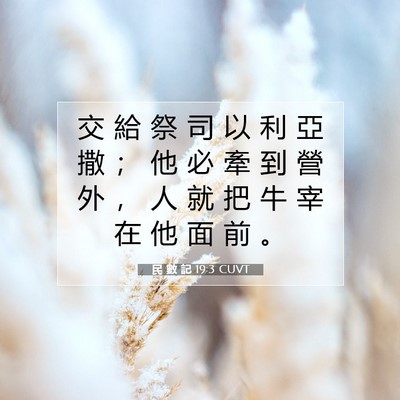Picture 07 - 民 數 記 19:3 CUVT - 交 給 祭 司 以 利 亞 撒 ； 他 必 牽 - Bible Verse Picture