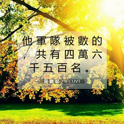 Picture 07 - 民 數 記 2:11 CUVT - 他 軍 隊 被 數 的 ， 共 有 四 萬 六 - Bible Verse Picture