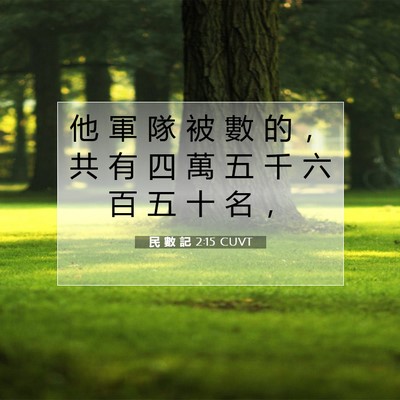 Picture 07 - 民 數 記 2:15 CUVT - 他 軍 隊 被 數 的 ， 共 有 四 萬 五 - Bible Verse Picture