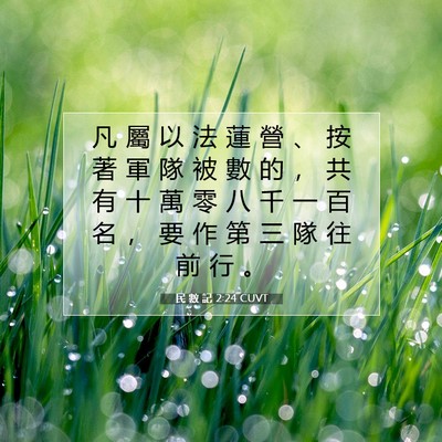 Picture 07 - 民 數 記 2:24 CUVT - 凡 屬 以 法 蓮 營 、 按 著 軍 隊 被 - Bible Verse Picture