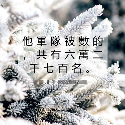 Picture 07 - 民 數 記 2:26 CUVT - 他 軍 隊 被 數 的 ， 共 有 六 萬 二 - Bible Verse Picture