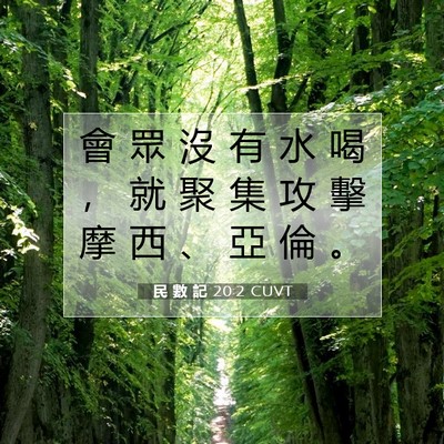 Picture 07 - 民 數 記 20:2 CUVT - 會 眾 沒 有 水 喝 ， 就 聚 集 攻 擊 - Bible Verse Picture