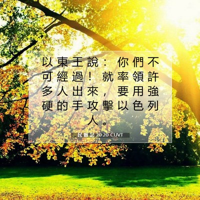 Picture 07 - 民 數 記 20:20 CUVT - 以 東 王 說 ： 你 們 不 可 經 過 ！ - Bible Verse Picture
