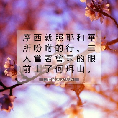 Picture 07 - 民 數 記 20:27 CUVT - 摩 西 就 照 耶 和 華 所 吩 咐 的 行 - Bible Verse Picture