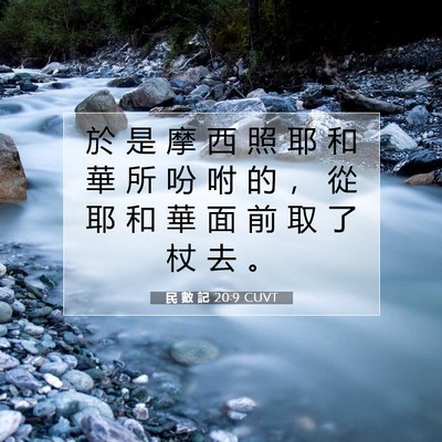 Picture 07 - 民 數 記 20:9 CUVT - 於 是 摩 西 照 耶 和 華 所 吩 咐 的 - Bible Verse Picture