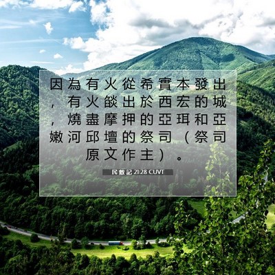 Picture 07 - 民 數 記 21:28 CUVT - 因 為 有 火 從 希 實 本 發 出 ， 有 - Bible Verse Picture