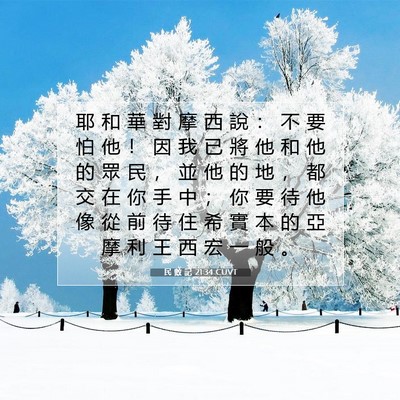 Picture 07 - 民 數 記 21:34 CUVT - 耶 和 華 對 摩 西 說 ： 不 要 怕 他 - Bible Verse Picture