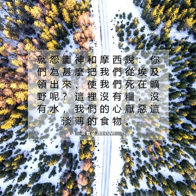 Picture 07 - 民 數 記 21:5 CUVT - 就 怨 讟 神 和 摩 西 說 ： 你 們 為 - Bible Verse Picture