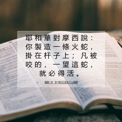Picture 07 - 民 數 記 21:8 CUVT - 耶 和 華 對 摩 西 說 ： 你 製 造 一 - Bible Verse Picture