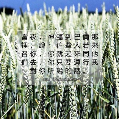 Picture 07 - 民 數 記 22:20 CUVT - 當 夜 ， 神 臨 到 巴 蘭 那 裡 ， 說 - Bible Verse Picture