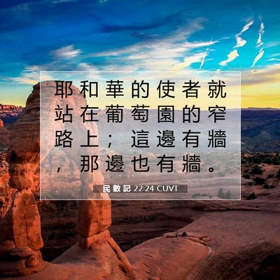 Picture 07 - 民 數 記 22:24 CUVT - 耶 和 華 的 使 者 就 站 在 葡 萄 園 - Bible Verse Picture